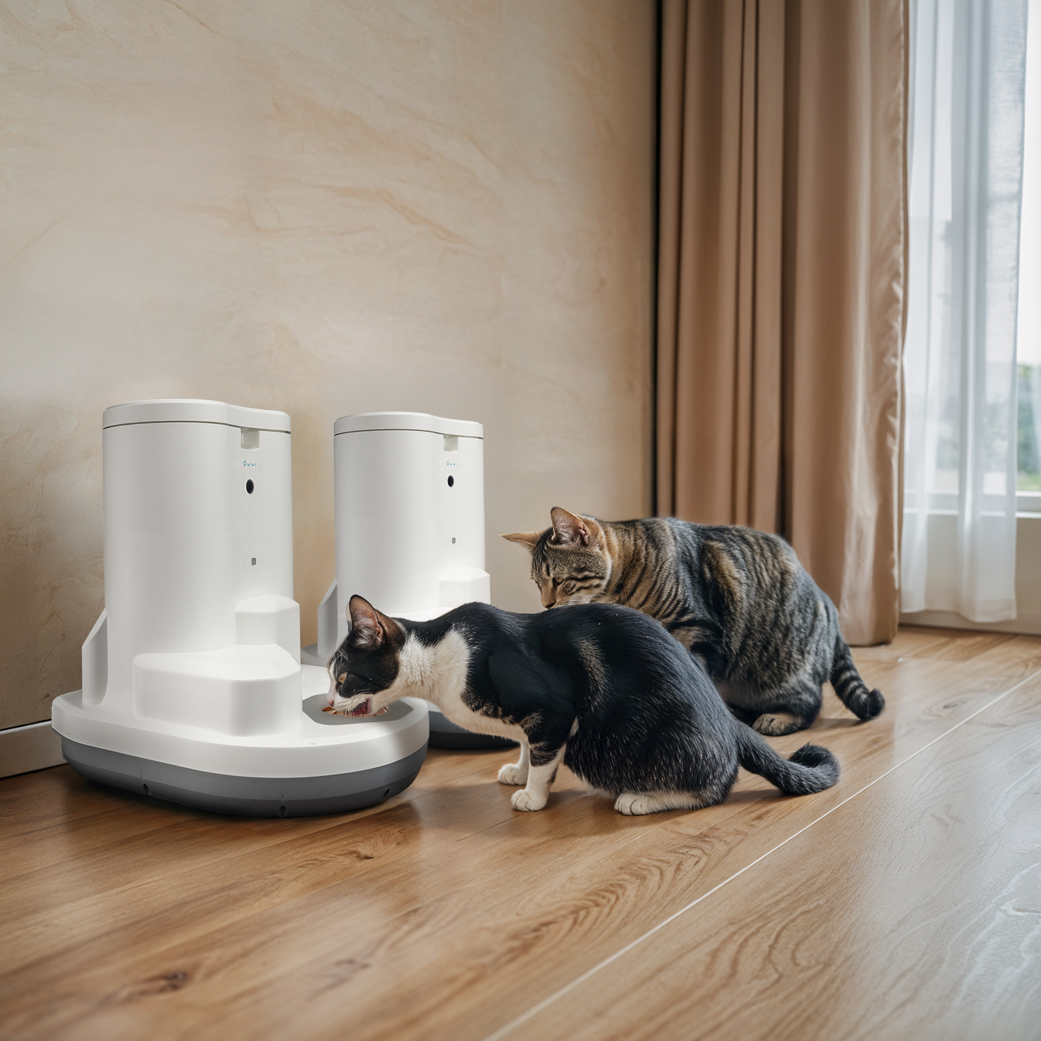 From Business Trips to Vacations: Why Automatic Feeders Are a Game-Changer