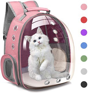 No Pet Left Behind  - 10 Cute, Funny, And Unusual Pet Carriers