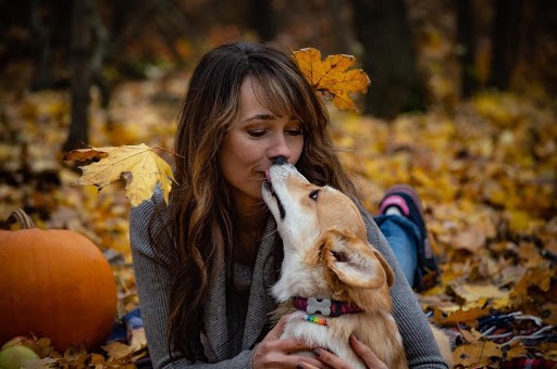 Pucker up! Why kissing your dog on the lips might be a bad idea